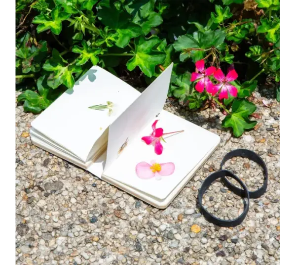 Flower Press Kit for Drying and Preserving Blooms