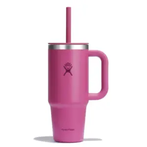 Hydro Flask 24oz Insulated Travel Mug with Lid
