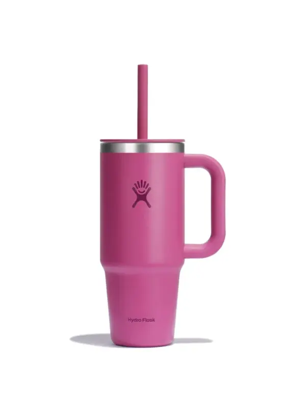 Hydro Flask 24oz Insulated Travel Mug with Lid