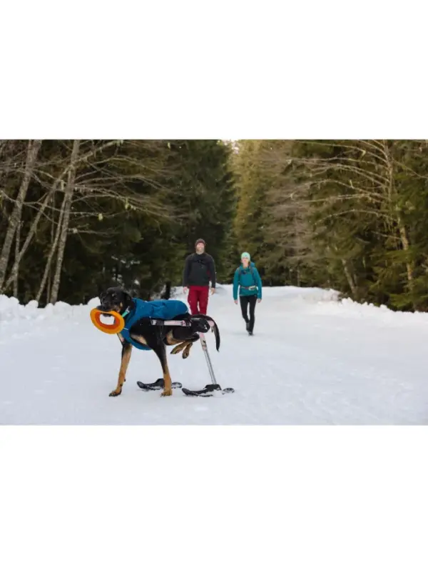 Ruffwear Quinzee Waterproof Dog Coat - Warm Winter Jacket - Image 2