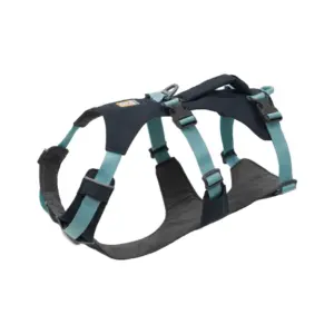 Ruffwear Roamer Dog Leash for Walking & Training Durable Nylon