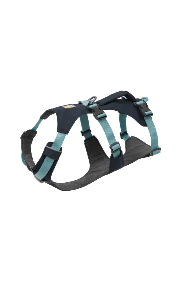 Bogg Bag Bitty Tote - Compact Beach & Pool Bag