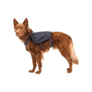 Ruffwear Gourdo Durable Rubber Fetch Toy for Dogs