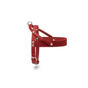 Adjustable Buttery Soft Leather Dog Harness, Red by Molly & Stitch