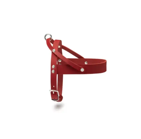 Adjustable Buttery Soft Leather Dog Harness, Red by Molly & Stitch
