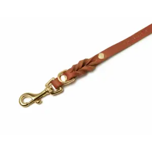 Molly And Stitch Sahara Cognac Leather Dog Leash for City Walks