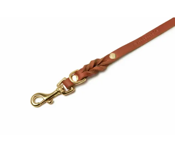 Molly And Stitch Sahara Cognac Leather Dog Leash for City Walks