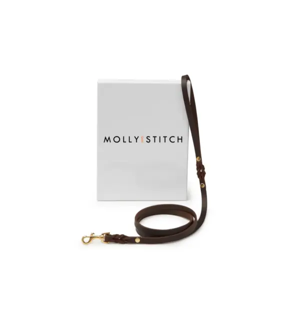 Adjustable Leather Dog Leash - Butter Soft Grey - Molly And Stitch - Image 2