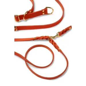 Molly And Stitch Adjustable Leather Dog Leash - Forest Green