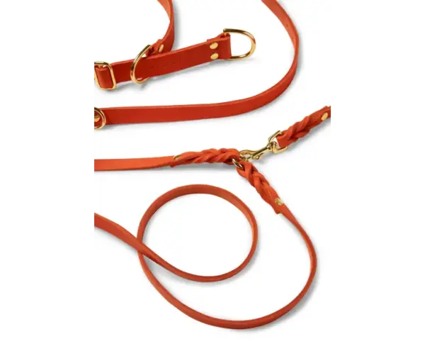 Adjustable Soft Butter Leather Dog Leash in Mango Tan - Molly & Stitch - Image 2