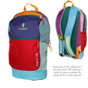 Cotopaxi Bogota 20L Daypack - Lightweight Travel Backpack