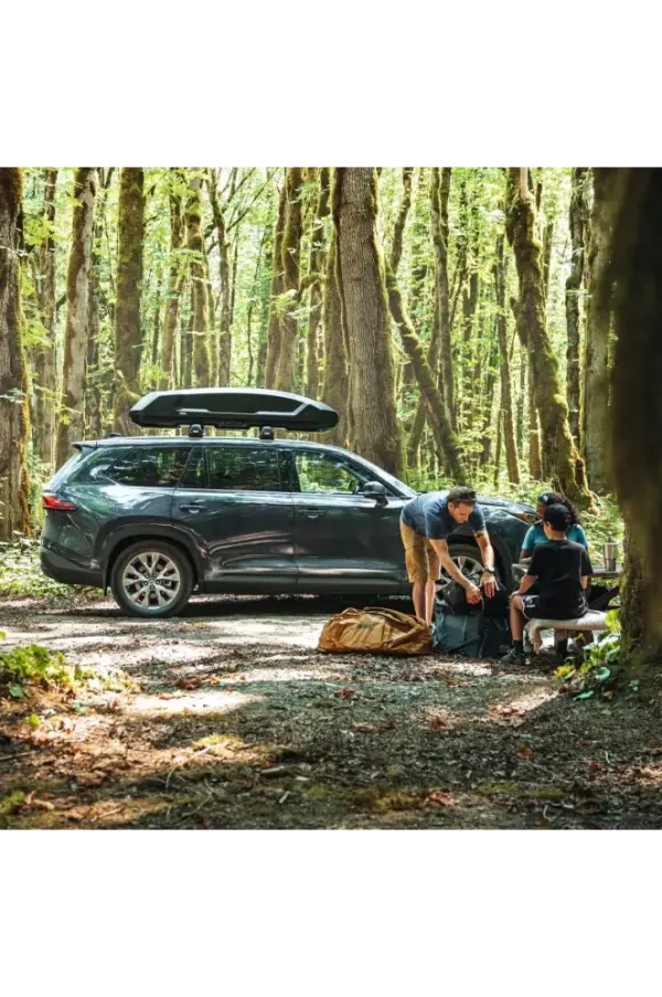 Thule Force 3 Large 11 cu ft Rooftop Cargo Carrier