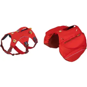 Ruffwear Palisades Dog Backpack for Hiking and Outdoor Adventures