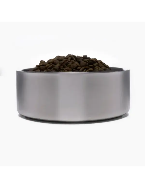 Durable Stainless Steel Dog Bowl Non-Slip Base | 4Knines - Image 3