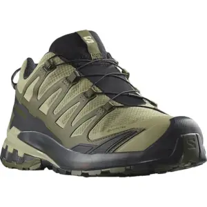 Salomon Men's XA Pro 3D V9 Gore-Tex Trail Runners