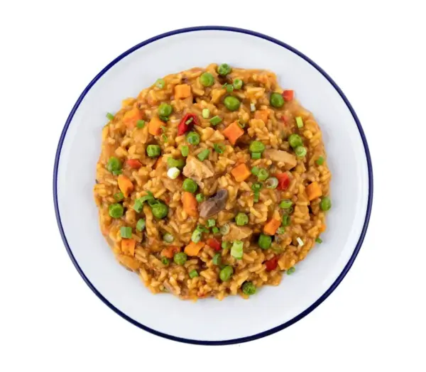 Mountain House Freeze Dried Chicken Teriyaki Rice Meal - Image 2