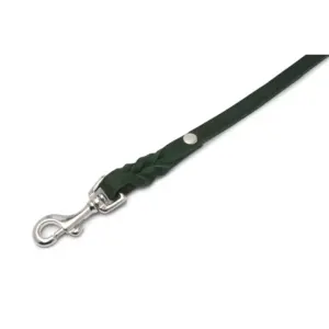 Molly And Stitch Forest Green Leather Dog Leash for City Walks