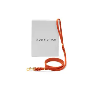Molly And Stitch Navy Blue Leather Dog Leash for City Walks