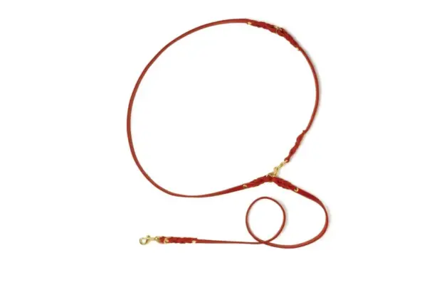 Molly And Stitch Adjustable Leather Dog Leash Chili Red - Image 3