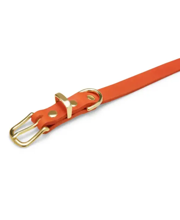 Molly And Stitch Adjustable Leather Dog Leash - Forest Green - Image 2