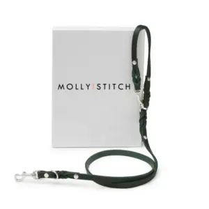 Butter Leather Adjustable Dog Leash - Forest Green by Molly & Stitch