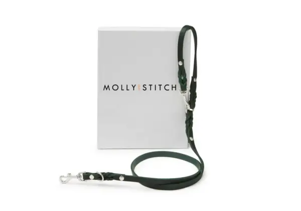 Butter Leather Adjustable Dog Leash - Forest Green by Molly & Stitch