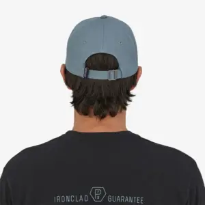 Patagonia P-6 Organic Cotton Trucker Hat