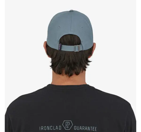 Patagonia P-6 Organic Cotton Trucker Hat
