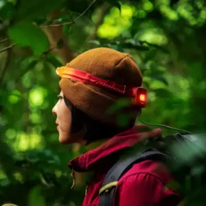 BioLite 800 Pro Headlamp - USB Rechargeable, 800 Lumen Brightness
