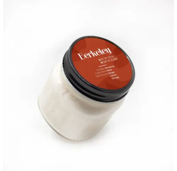 NESW Berkeley Paste Car Wax Formula