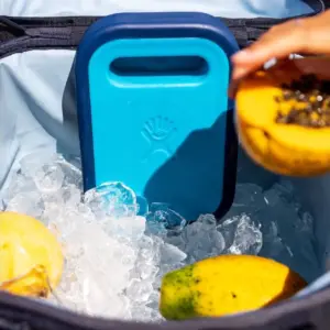 Hydro Flask Insulated Ice Pack for Coolers