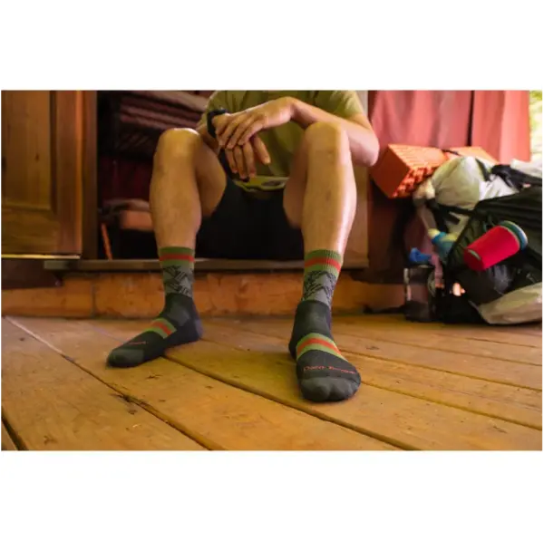 Darn Tough Men's Lightweight Cushioned Micro Crew Socks