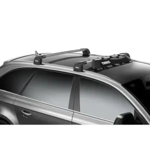 Thule Snowpack 6 Large Silver Roof Cargo Box