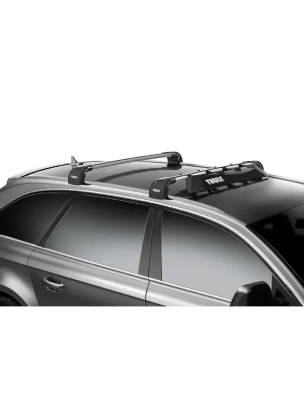 Thule Snowpack 6 Large Silver Roof Cargo Box