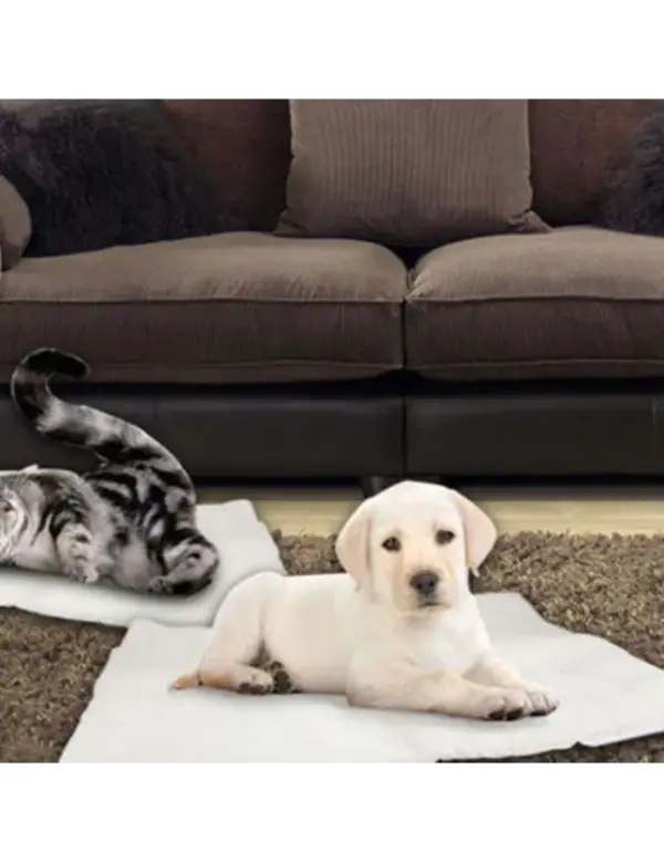 Self Heating Pet Blanket for Dogs and Cats by Dog Hugs Cat - Image 4