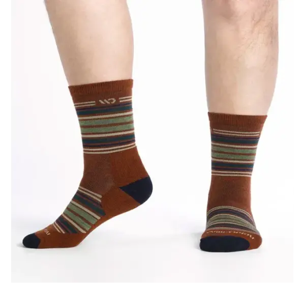 Darn Tough Men's Midweight Micro Crew Socks - Multi Stripe - Image 4