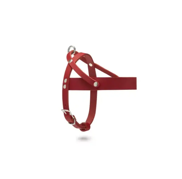 Adjustable Buttery Soft Leather Dog Harness, Red by Molly & Stitch - Image 3