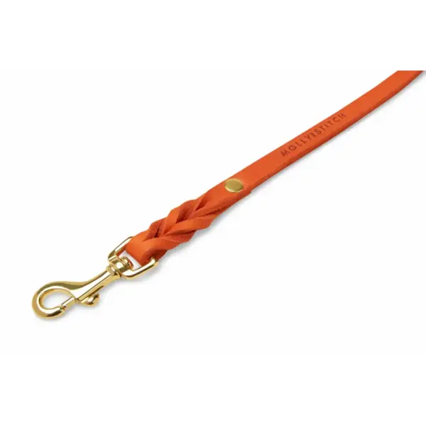 Molly And Stitch Sahara Cognac Leather Dog Leash for City Walks - Image 3