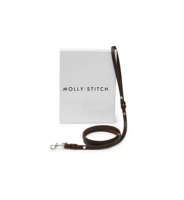 Molly And Stitch Leather Dog Leash - Classic Brown City Walk