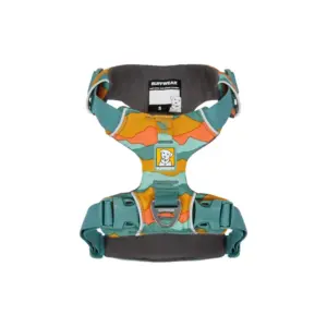 Gregory Stout 70 Backpack Extended Fit