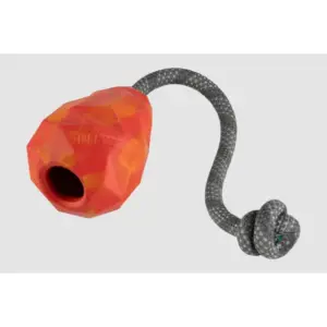 Ruffwear Huck-a-Cone Durable Dog Toy for Fetch and Chewing