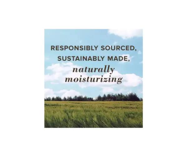 Burt's Bees Moisturizing Foot Cream with Coconut for Dry Heels - Image 3
