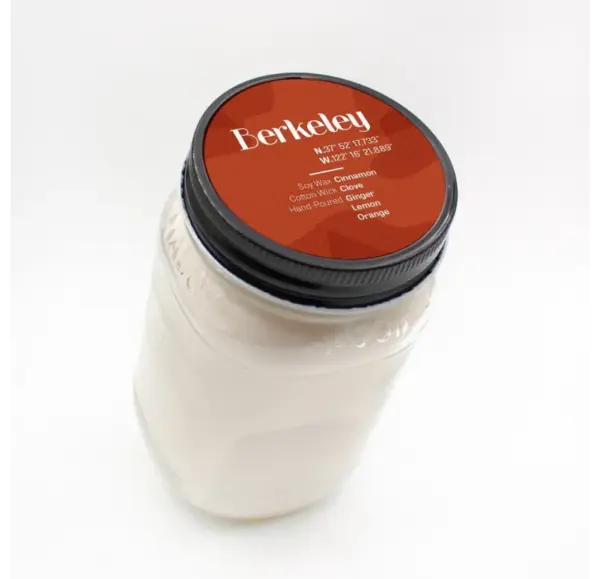 NESW Berkeley Paste Car Wax Formula - Image 3