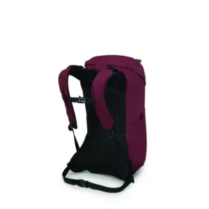 Osprey Archeon 24L Comfort Daypack for Daily Adventures