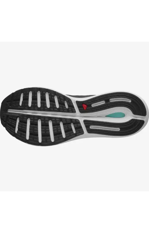 Salomon Men's Sonic 4 Balanced Run Road Running Shoes