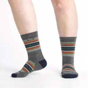 Darn Tough Men's Midweight Micro Crew Socks - Multi Stripe