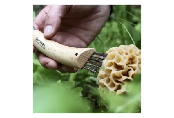Opinel No.08 Stainless Steel Folding Mushroom Knife - Image 4
