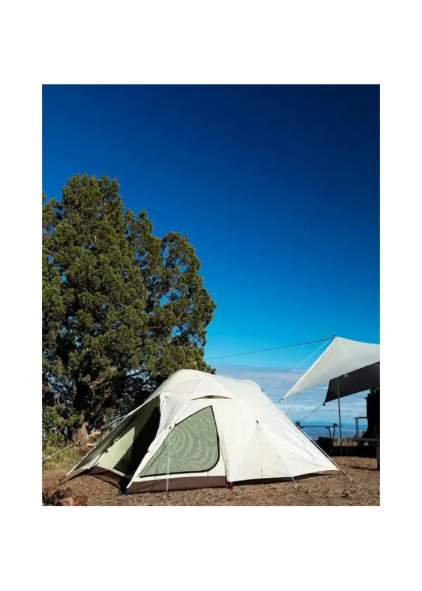 4 Person Backpacking Tent Snow Peak Alpha Breeze - Image 4