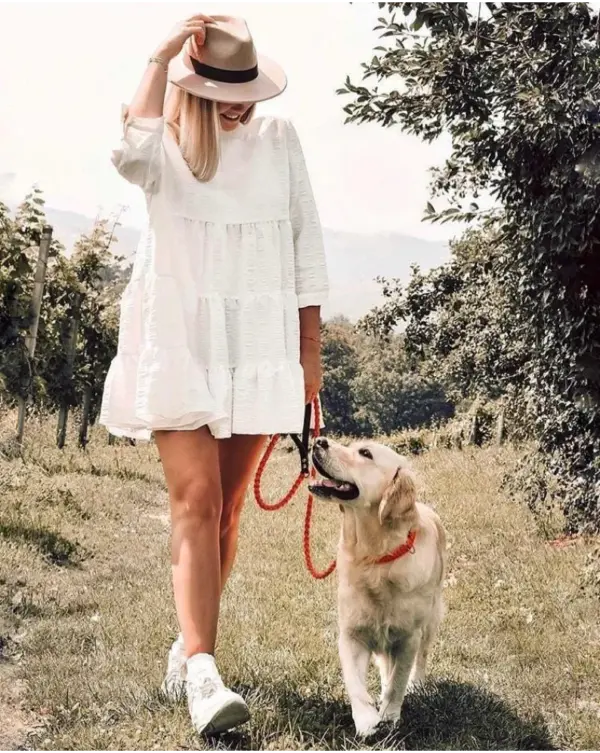 Molly & Stitch Pumpkin Leather Dog Collar - Image 4