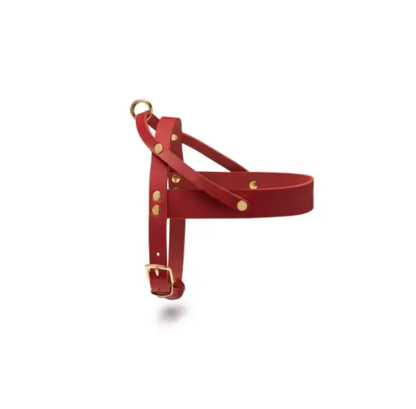 Adjustable Buttery Soft Leather Dog Harness, Red by Molly & Stitch - Image 4